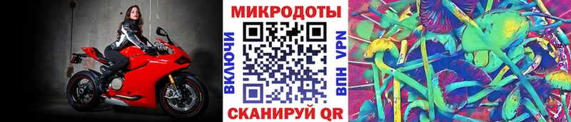 Псилоцибиновые грибы Cubensis  KRAKEN маркетплейс  Дигора 